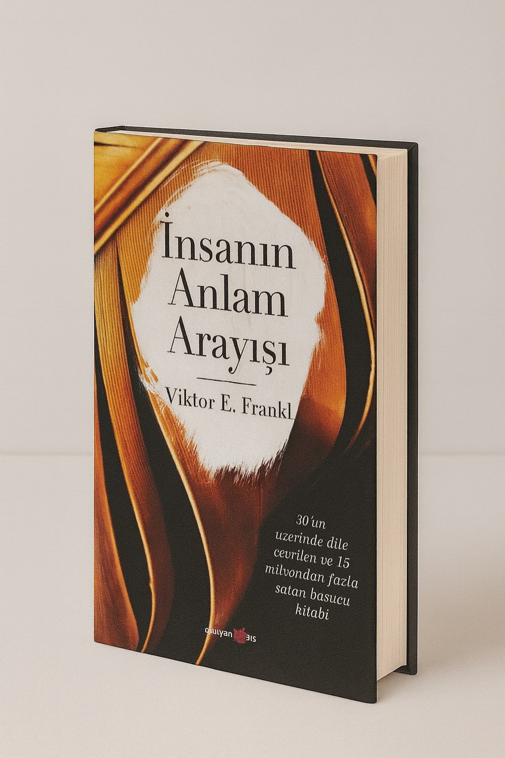 İnsanın Anlam Arayışı