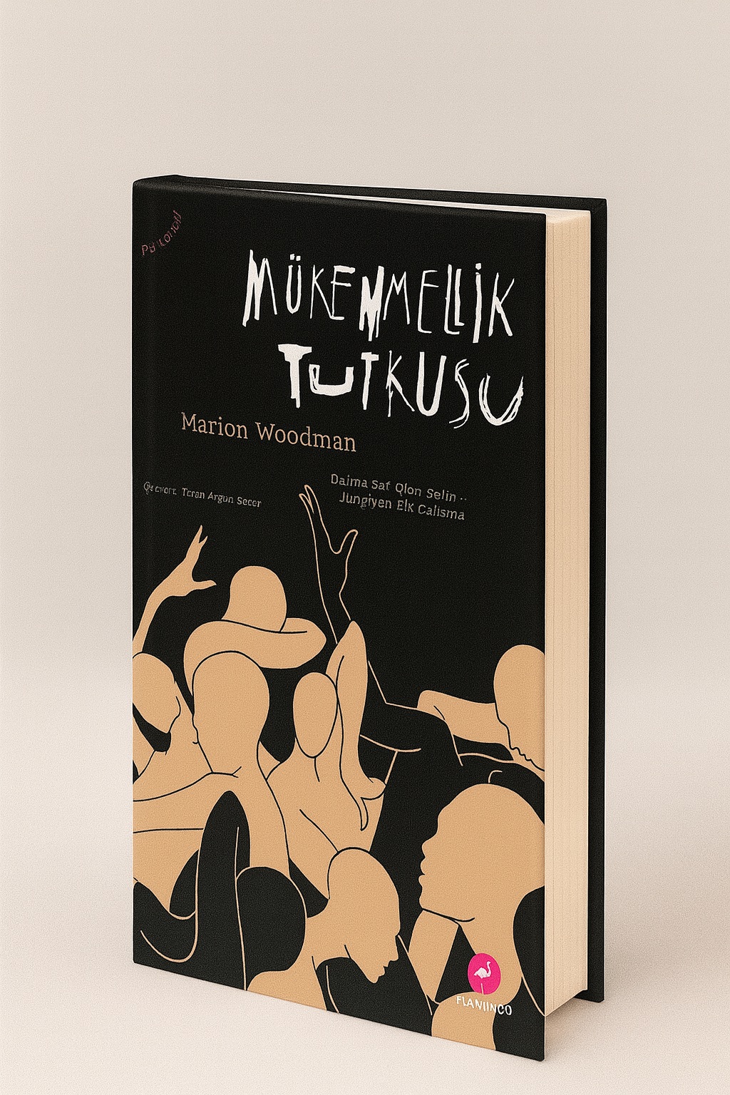 Mükemmellik Tutkusu